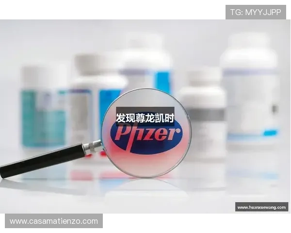 尊龙凯时游戏大厅下载：官方正版下载平台推荐与安全保障措施