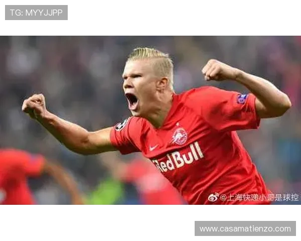 d88尊龙z6尊龙z6价格行情最新动态掌握市场价格变化把握最佳购买时机