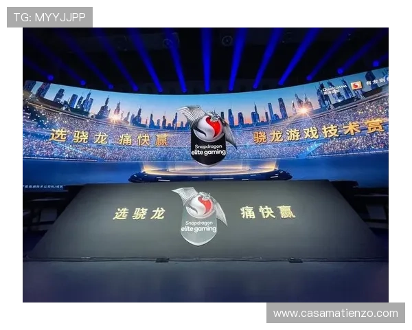 尊龙凯时登陆入口稳定性分析及优化建议帮助玩家提升游戏体验