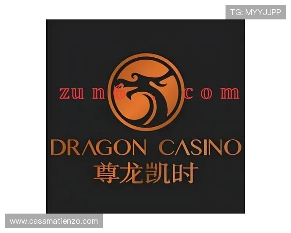 尊龙凯时官方下载安卓版提供安全稳定的游戏环境保障玩家的资金与信息安全