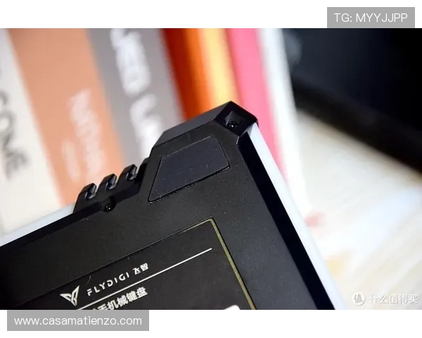 尊龙网址登录线路全面升级提升连接速度和稳定性让游戏更流畅