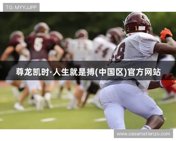 教你顺利访问尊龙凯时平台入口的实用技巧